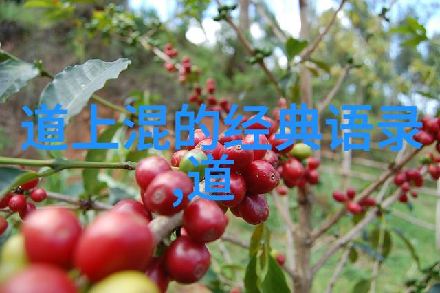 道教八大神咒全文-揭秘道教神咒八大神咒的力量与运用