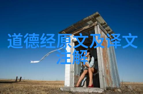 六经注脚庄子笔谈古代典籍中的智慧启示