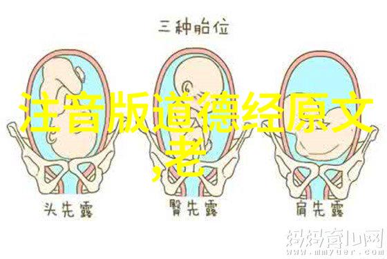 道家学派代表人物是揭秘老子庄周与其他智者们的哲学足迹