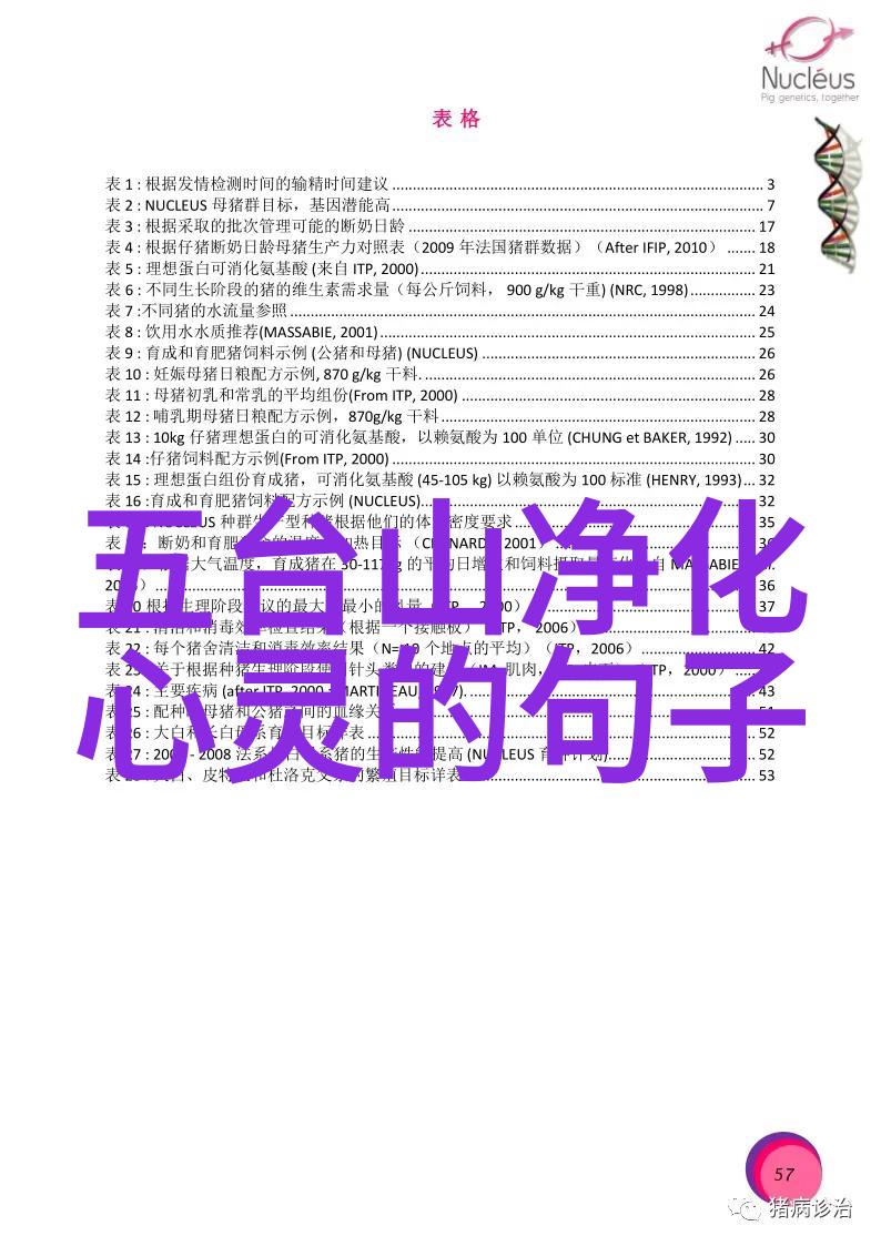 心灵静谧解读24字静心口诀的哲学与实践