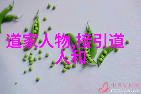 道法自然探索道家思想的智慧之光
