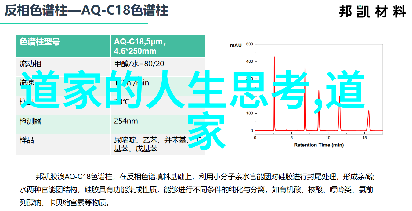 强大的吸引力为什么修行者容易被魔法所束缚