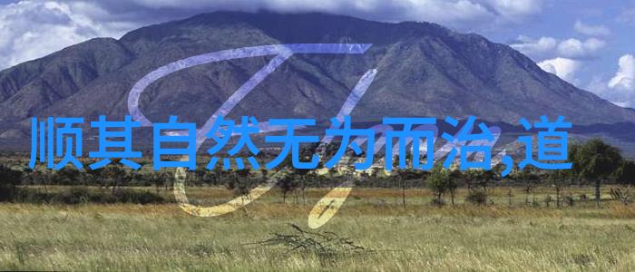 道家杰出代表人物主张道教哲学思想之光