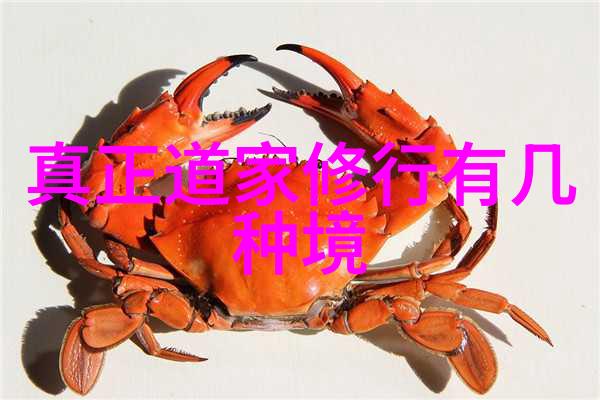 大道至简理解无为而治的智慧