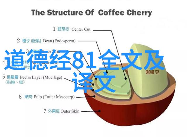 历史与哲学的交响曲道德经全章导读