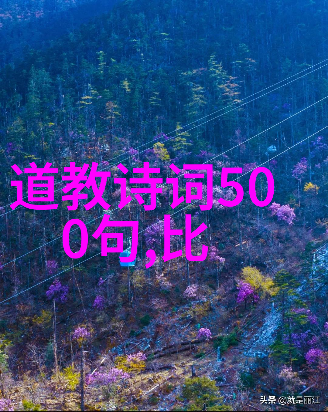 书法作品欣赏气质 - 墨香流露揭秘书法艺术中的情感表达