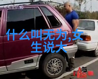 道家的自然观与生态保护的关系探究