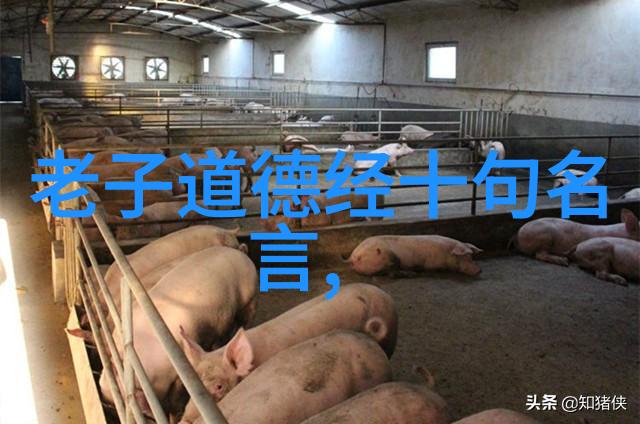 道家著名人物名字天人合一的智者探索道家圣贤