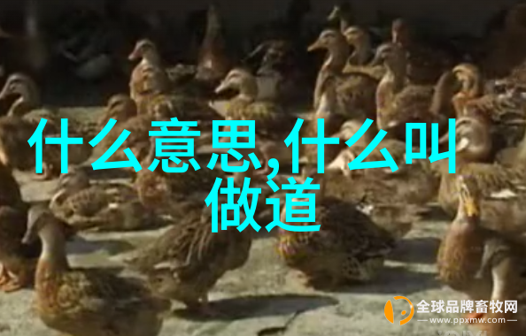 道家最厉害的人老子与黄庭居士的智慧对话