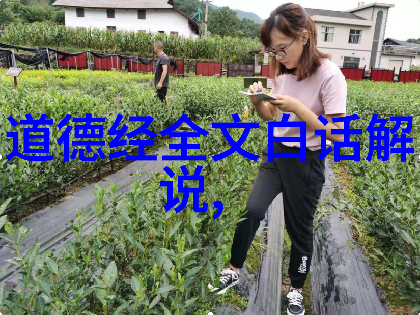 王安石为何要自称草船借箭的少年郎
