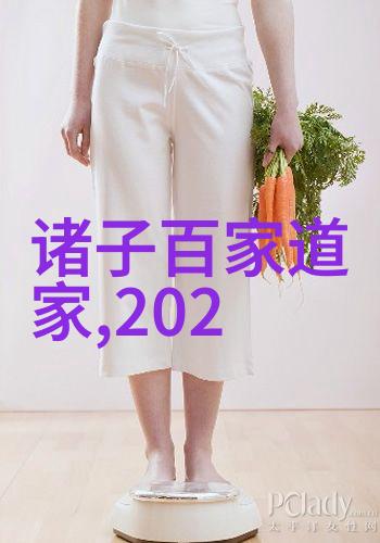 朱熹心学与宋明理宗时期儒道合一的实践探究