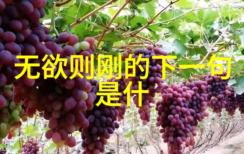 中国古代道家的宇宙观探究