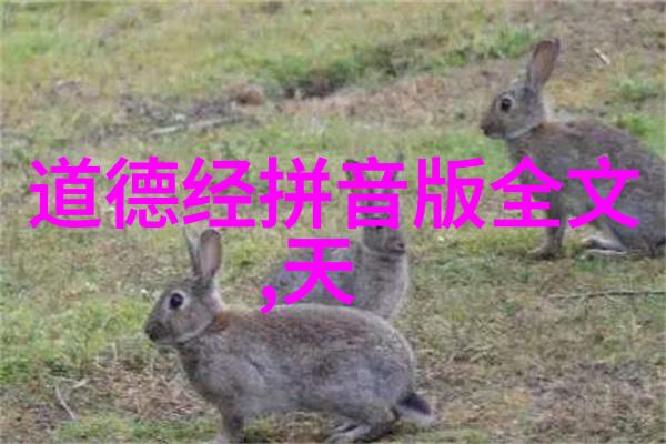他们是如何将古老智慧融入现代生活的