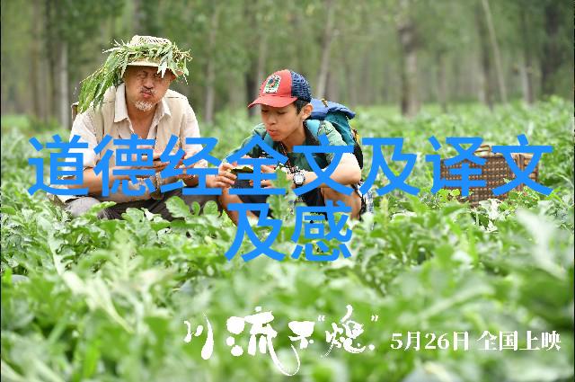 诵读道德经理解孔子与老子的思想差异