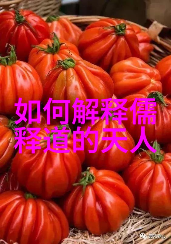 修身养性内圣外化修心修行的智慧