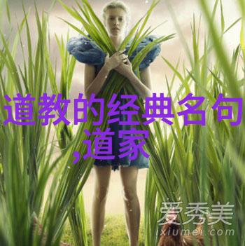 李清照诗歌中的隐逸情怀追求真理与生活美学