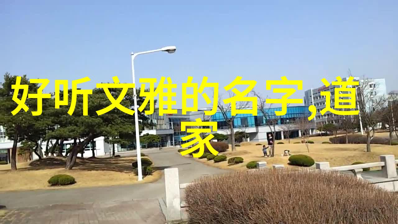 道教派别探秘东华真宗太极拳