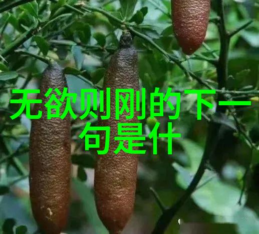道德领袖的光辉足迹探索其背后的力量与挑战