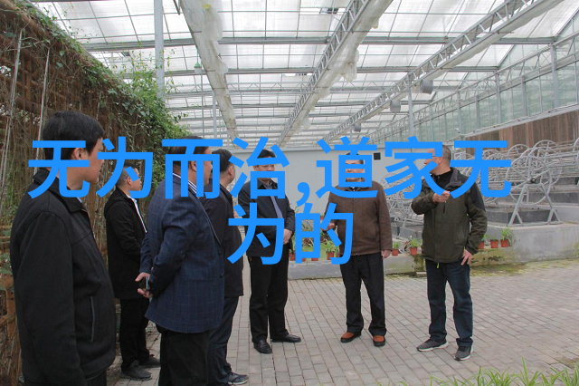 坚韧不拔探索成语无欲则刚背后的哲学与生活智慧