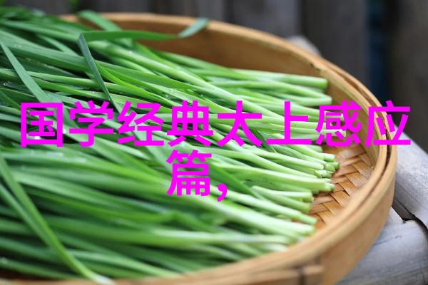 道韵长存探秘一生之道士