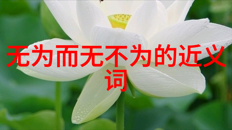 无为之人内心的平静与外界的淡然无为之人的智慧