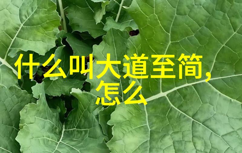 _do you have a _heart_ or not以老子思想为背景探讨儿童情感教育