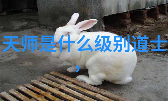 书法艺术-王羲之书法作品解析草圣笔触中的典范与创新