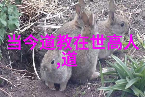 探秘天界道教四大神山之旅