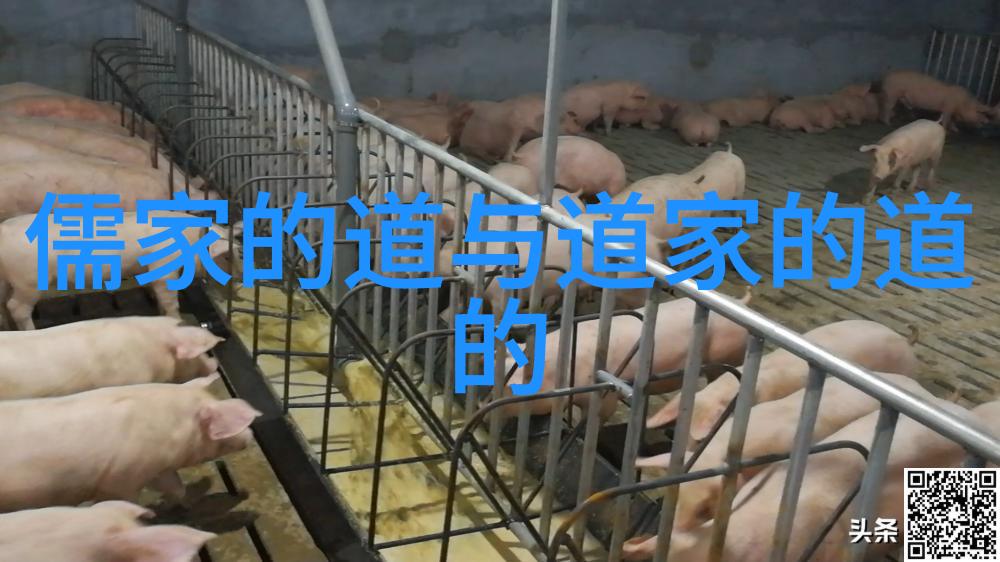 人生是一场修行的感悟句你是否曾经在迷雾中寻找自己的方向