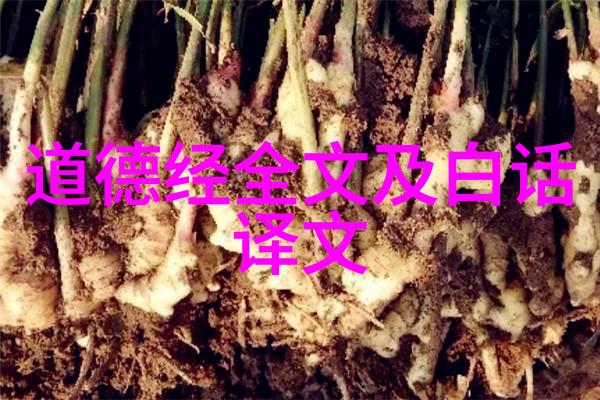 无为才能无所不为探索自然之道与人生智慧的奥秘