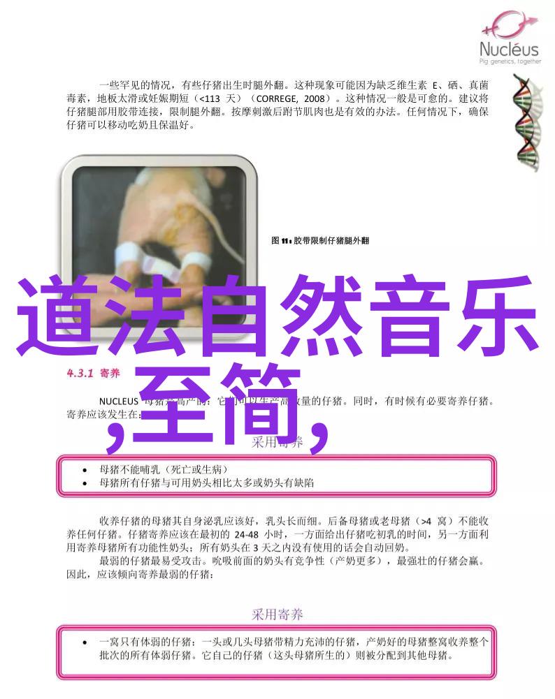 北京墨韵艺术探索