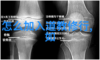 道家学说代表人物及其主张探索老子庄子与张载的哲学思想