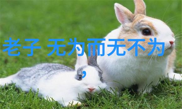 大道至简高清图片中的人物是如何被捕捉的