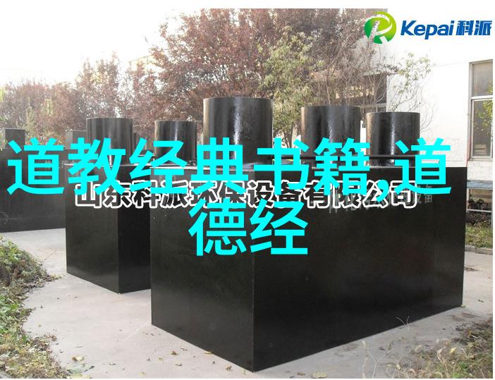道家状元的考试策略如何在儒释之间游刃有余