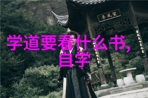 书法艺术之谜书法的艺术价值探究
