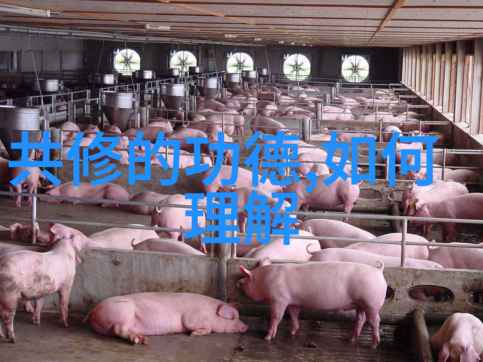 探索内心的神秘如何识别自己是否具备仙缘寻找自我与超自然联系的方法