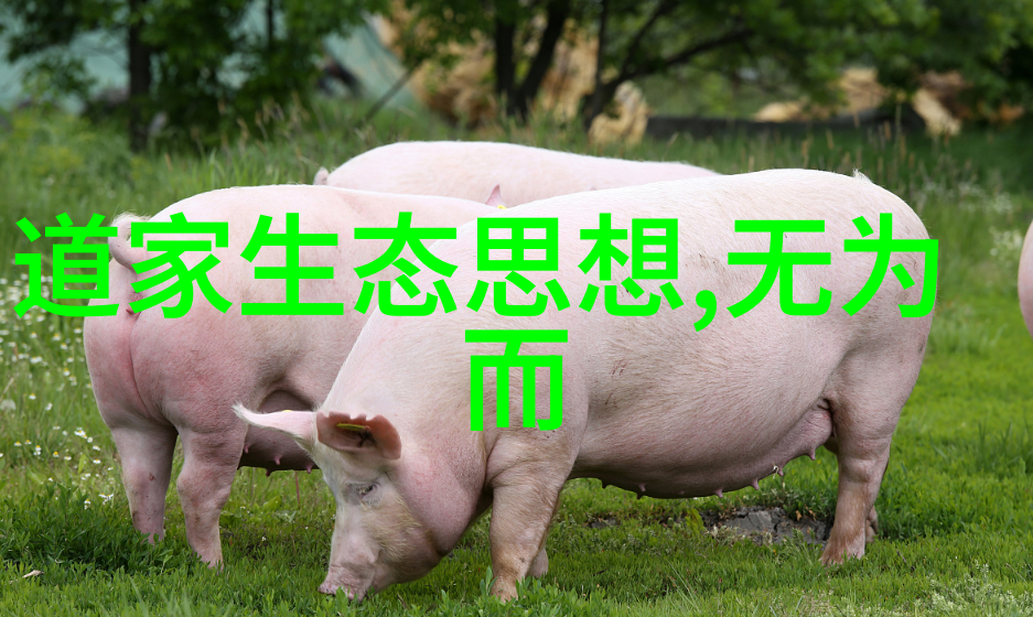 道教三大奇书是哪三部揭秘老子辟邪你不知道的道教三大奇书