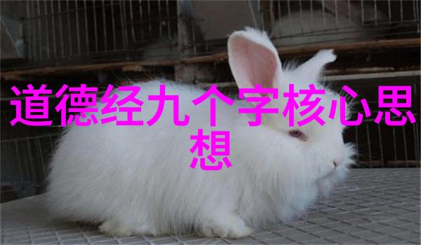 坚定之心欲望的轻纱
