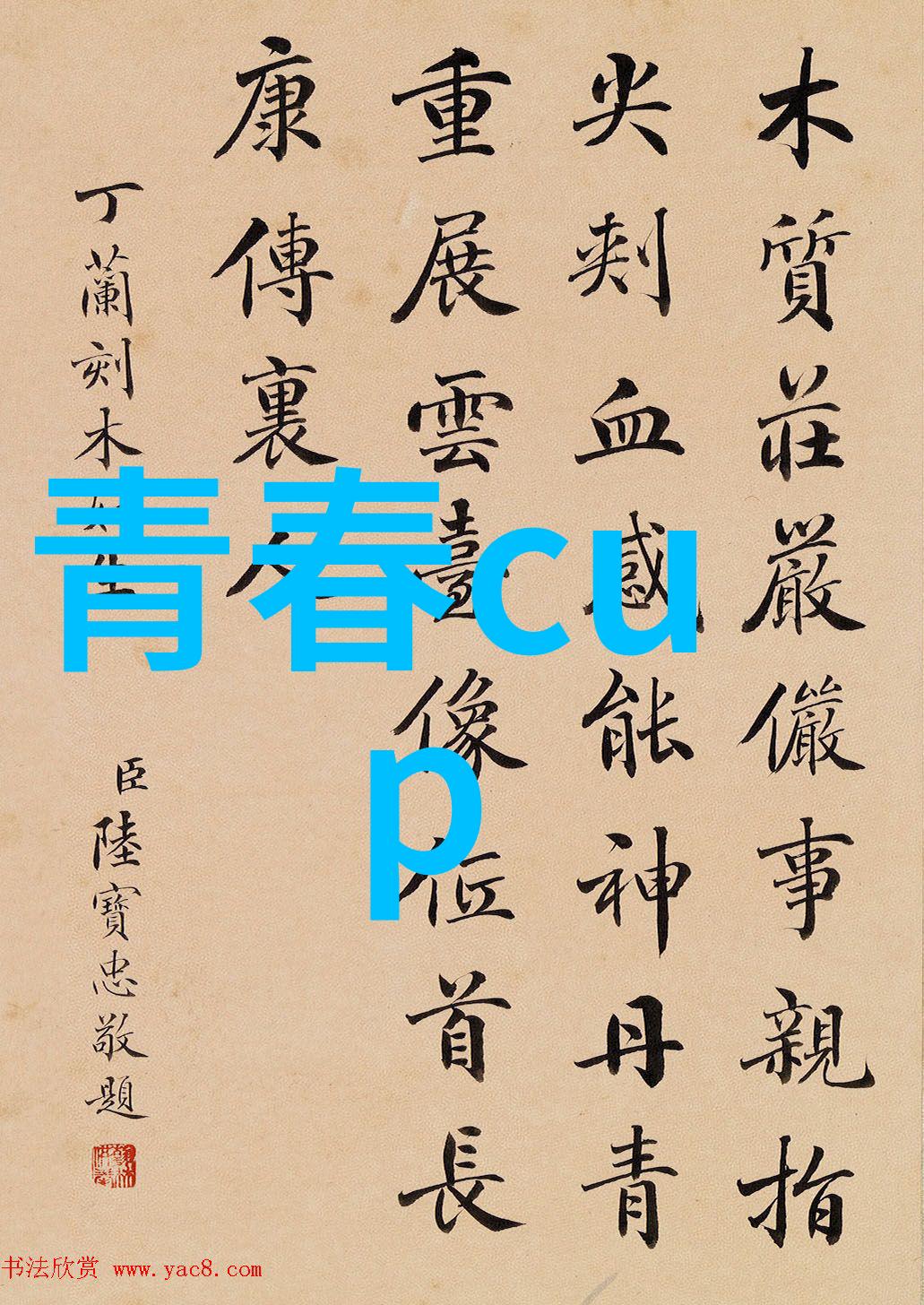 青春cup（充满活力与激情的青春时期）