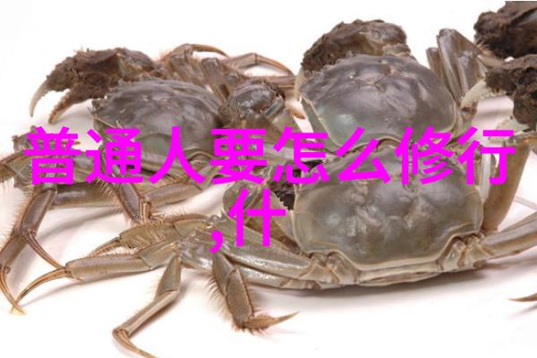 一名之重多世间情深入浅出解读那些流行于当下的道家人名