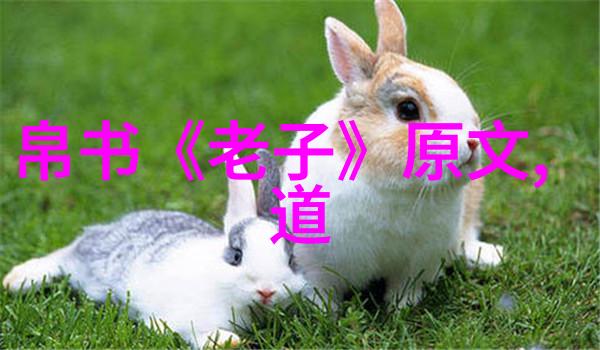对于不同信仰背景的人来说读懂太素经有什么共同点和差异吗
