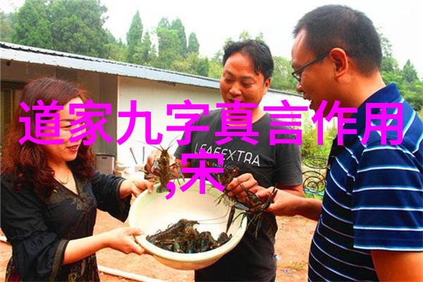 道教服饰穿越时空的静谧诗篇道德名言绘卷与天然道观的和谐交响