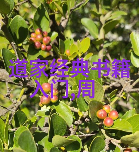 书法鉴赏赏析探究古今字体之美