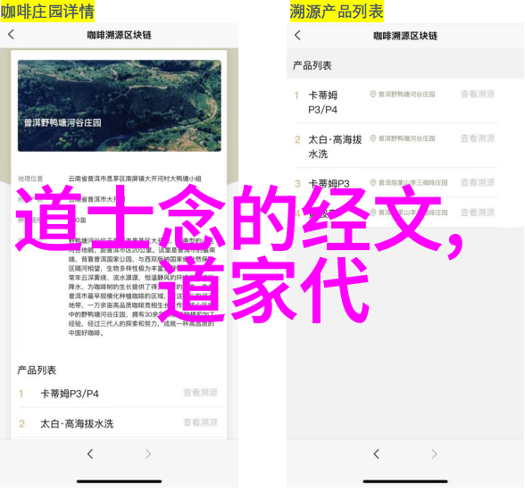 隐世道长千年修为的秘密