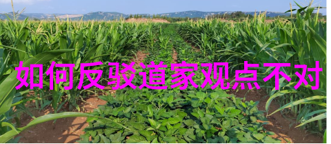 老子的智慧道家哲学的创始人与思想