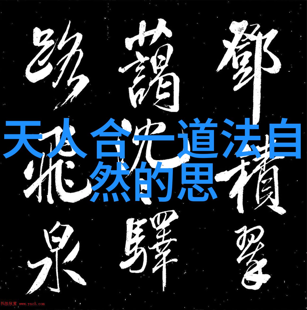 老太太的丰富毛发秘诀BGMBGMBGM视频解析