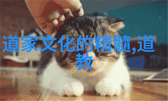 诠释与实践如何正确理解和运用道德经原版全篇
