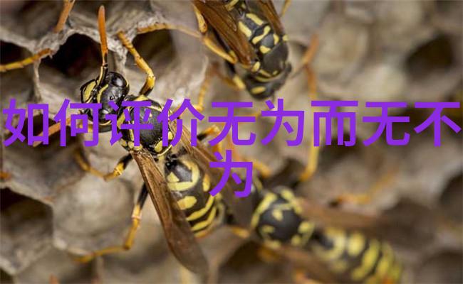 中国古籍中的瑰宝研究历史上最著名的楷书典籍