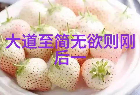 天人合一探索古今文化的智慧之源