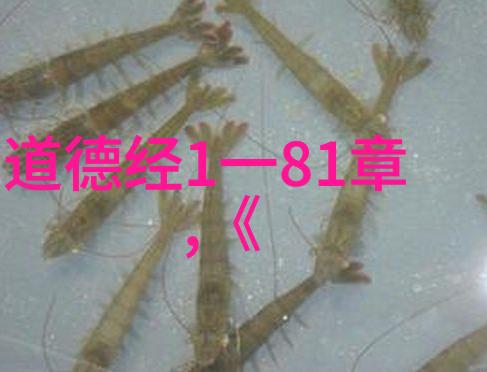 道德经中的智慧之光不言而喻